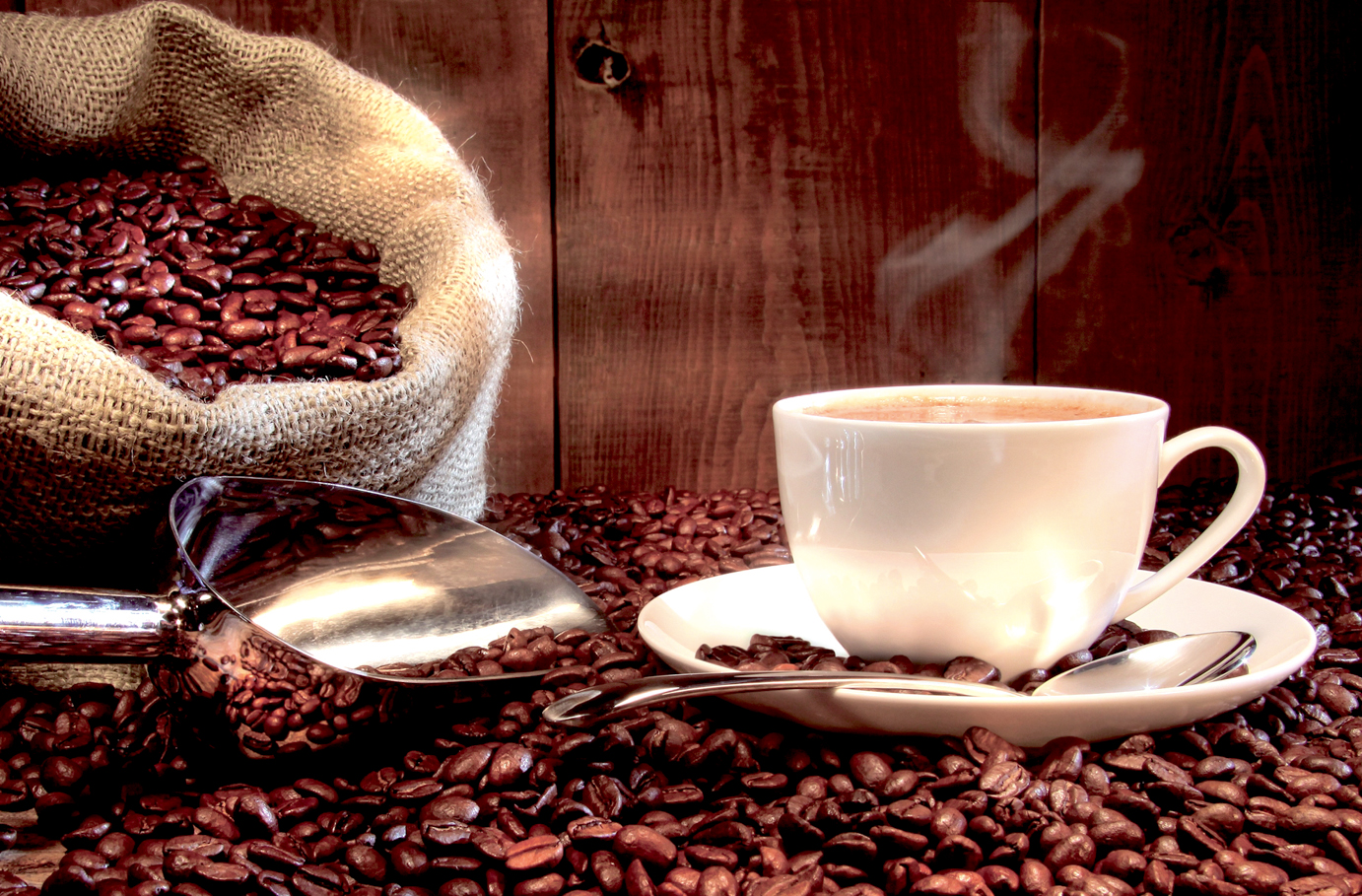 Espresso Seminar Oberschützen Unkategorisiert online kaufen Espresso Seminar Oberschützen Unkategorisiert online kaufen