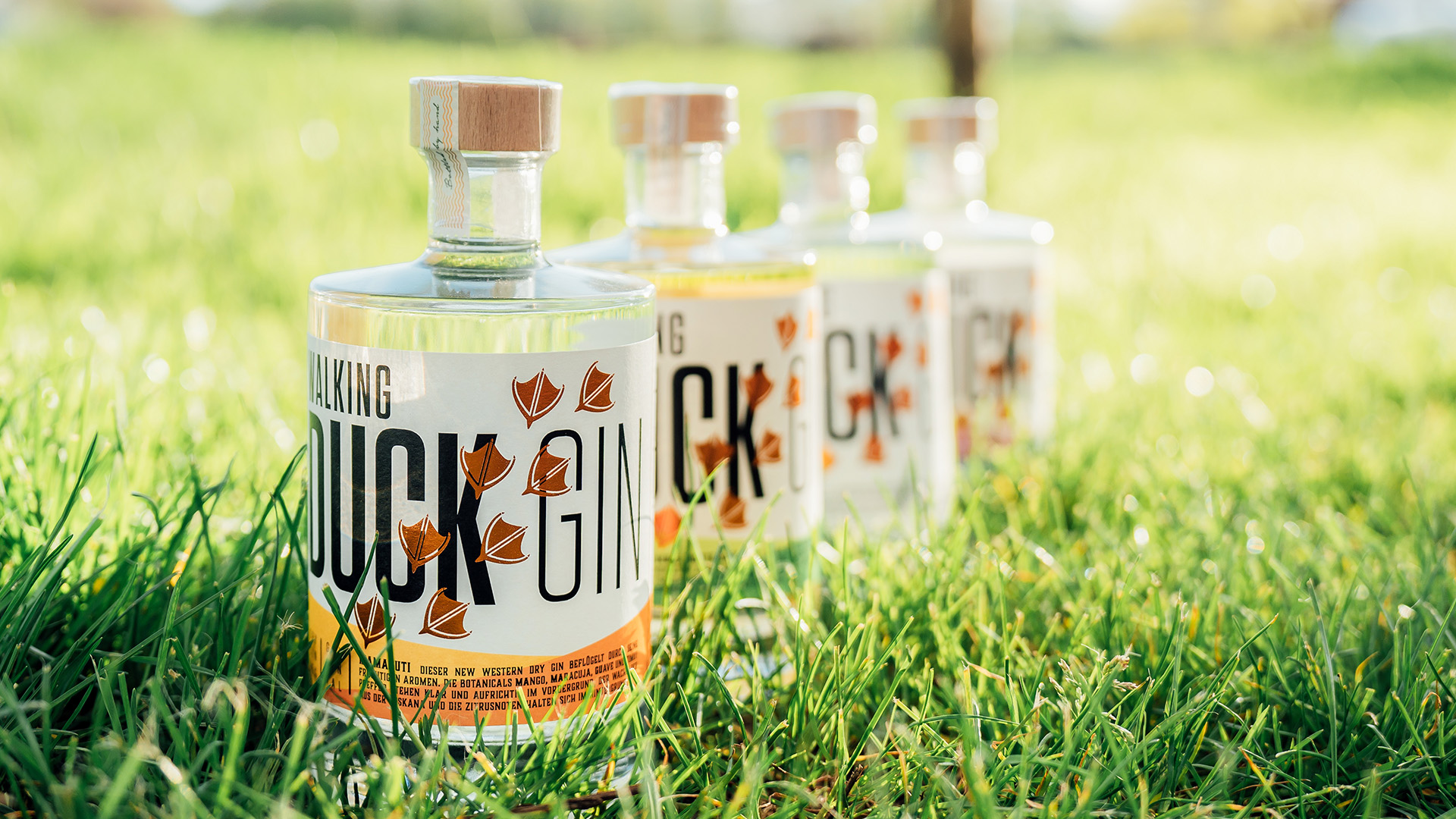 Gin Brennkurs mit 5-Gänge-Menü Guldental Unkategorisiert online kaufen Gin Brennkurs mit 5-Gänge-Menü Guldental Unkategorisiert online kaufen