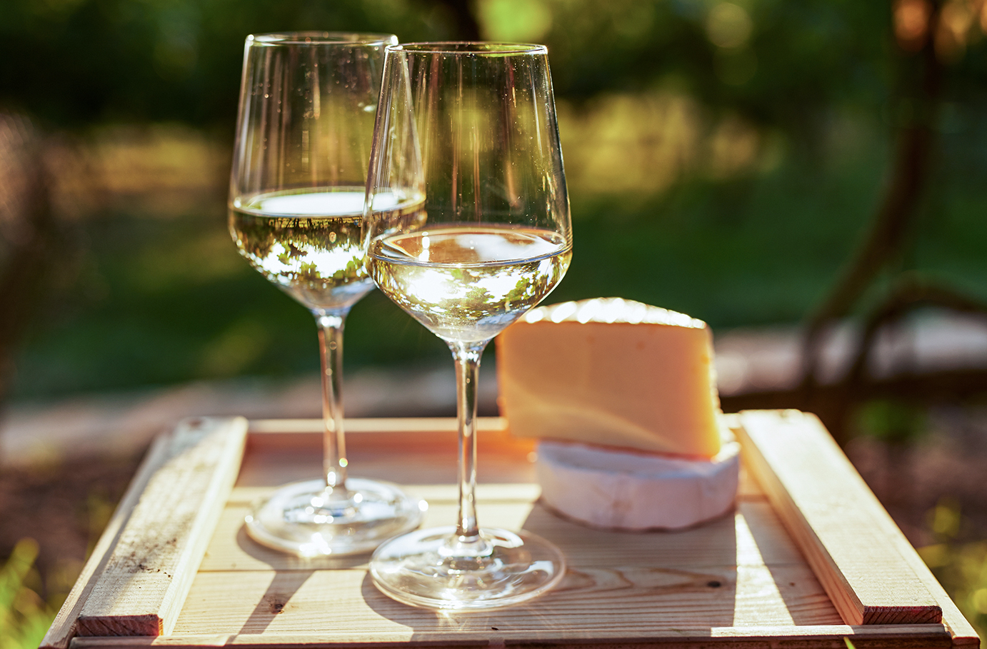 Wein & Käse Seminar Schriesheim Unkategorisiert online kaufen Wein & Käse Seminar Schriesheim Unkategorisiert online kaufen
