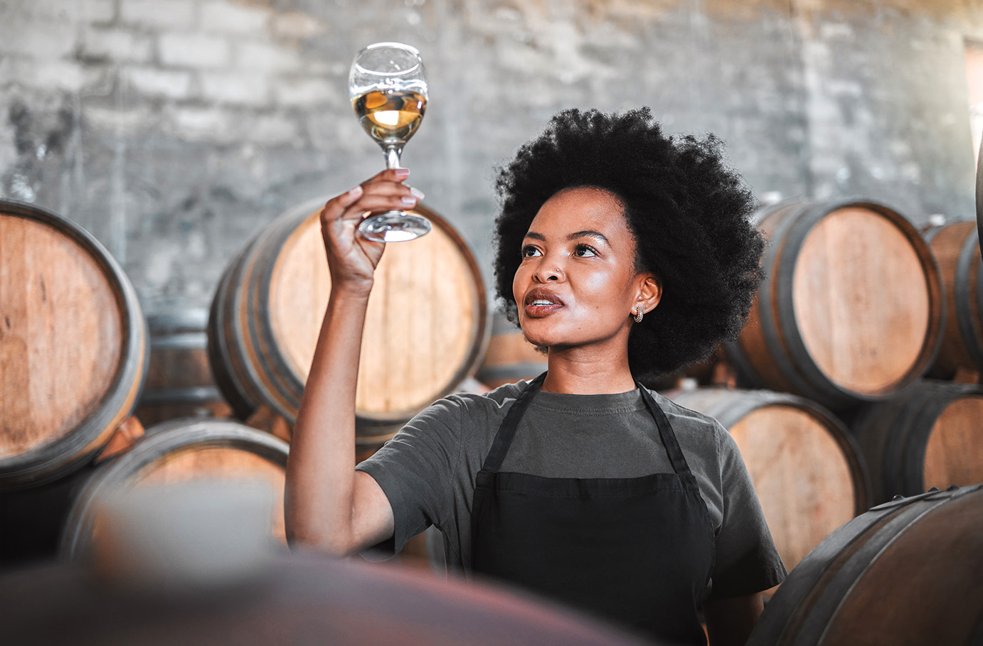 Weinseminar Luzern (Weinbasics) Unkategorisiert online kaufen Weinseminar Luzern (Weinbasics) Unkategorisiert online kaufen