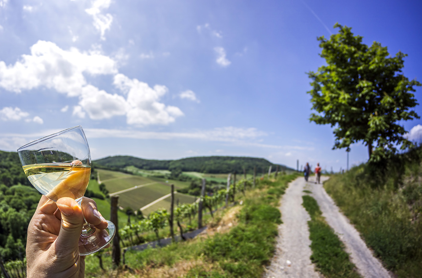 Weinwanderung Flörsheim-Dalsheim Unkategorisiert online kaufen Weinwanderung Flörsheim-Dalsheim Unkategorisiert online kaufen