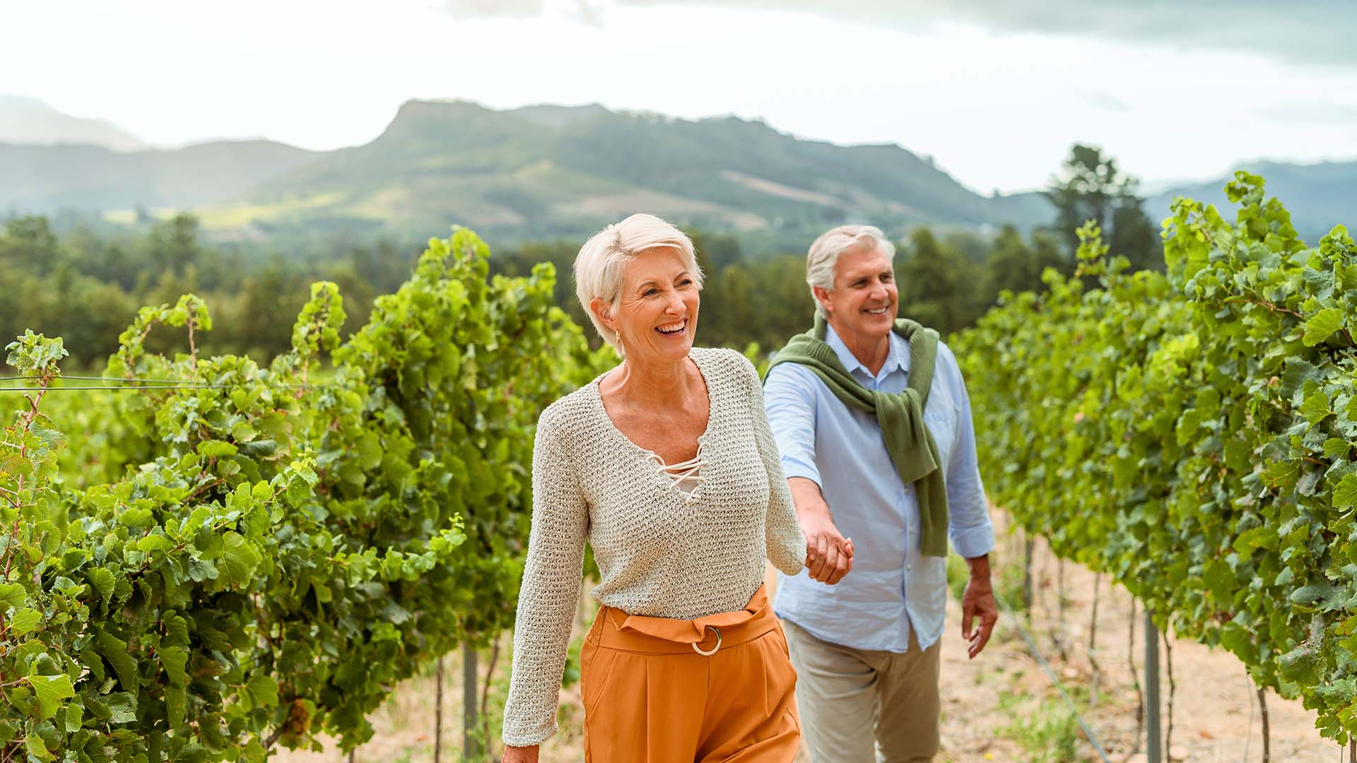 Weinwanderung mit Verkostung Reil Unkategorisiert online kaufen